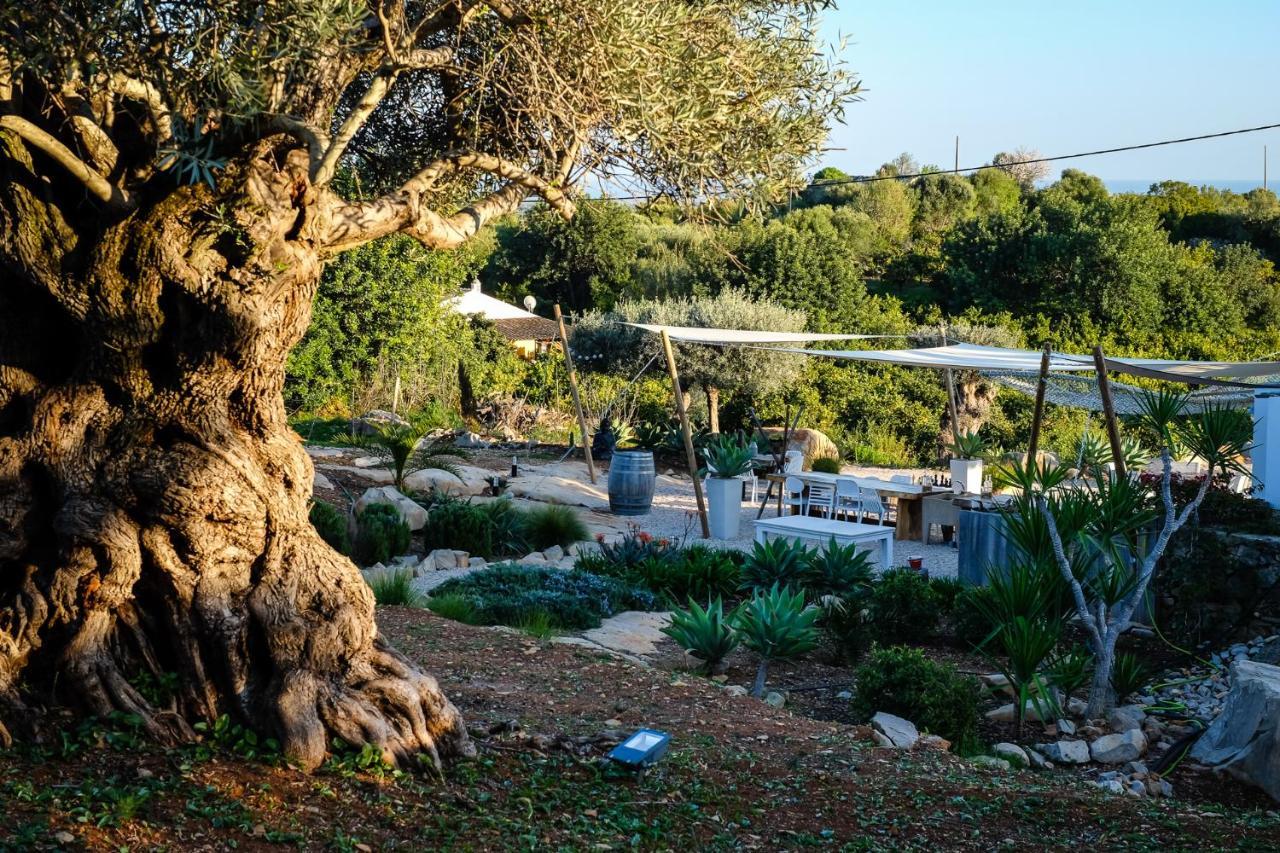 Casa Verdazul Tavira Zewnętrze zdjęcie
